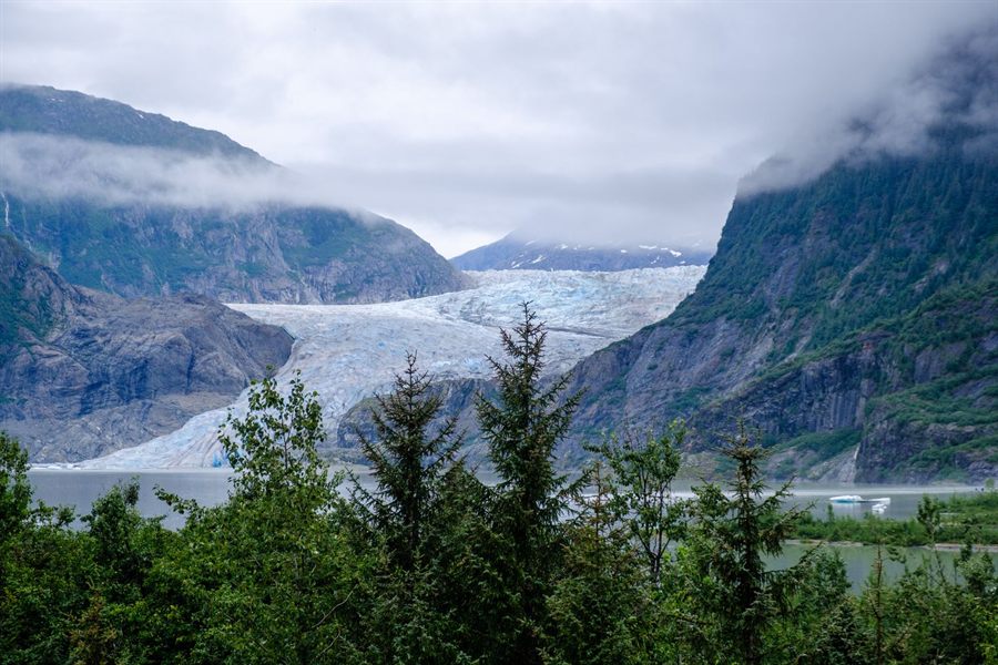 Glacier flowing between forested mountains in Alaska